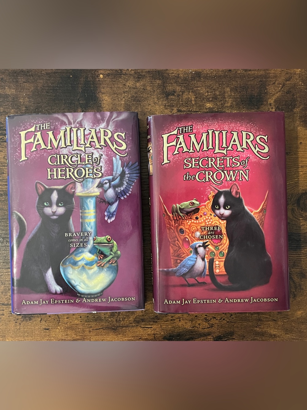 The Familiars Series Hardcover Book Lot